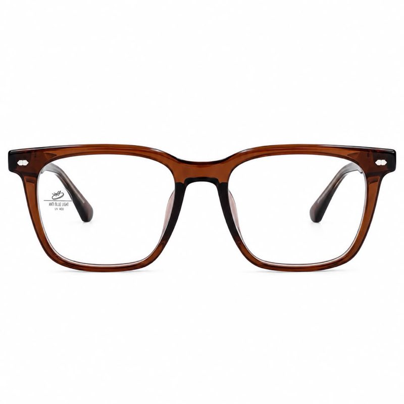 BROWN (TR99013 COL4) UNISEX FRAME