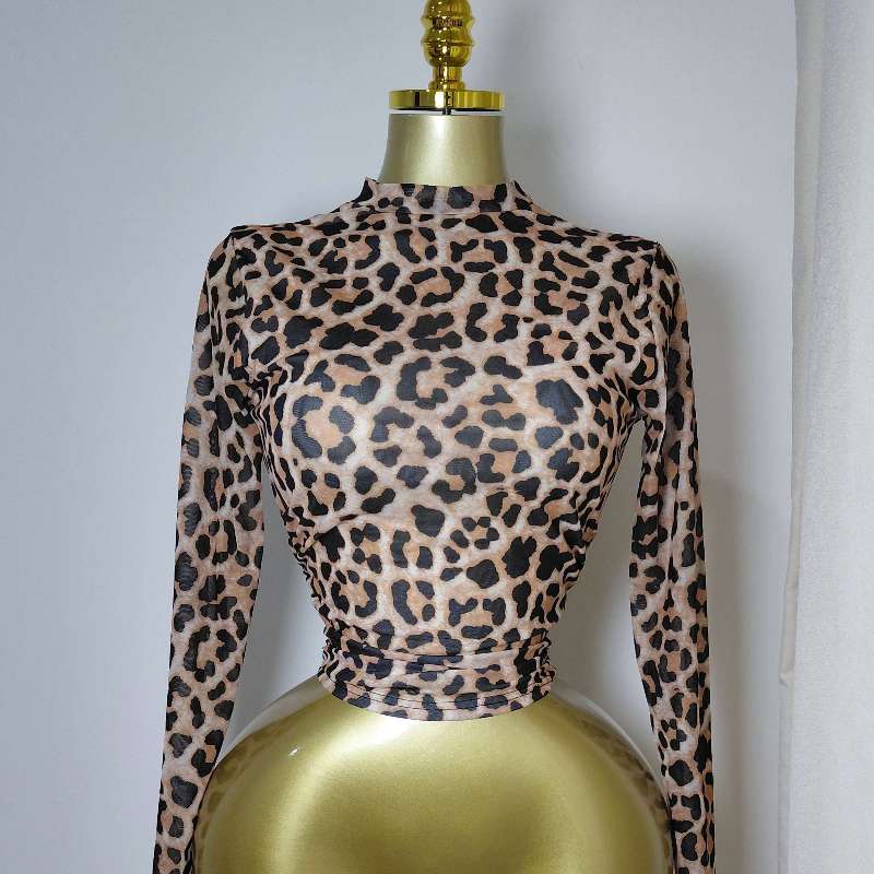 Ladies top